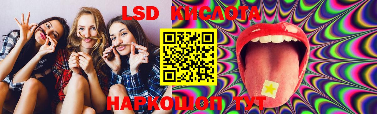   ссылки  ЛСД экстази ecstasy  Бердск  Вход с VPN  LSD-25 экстази ecstasy 