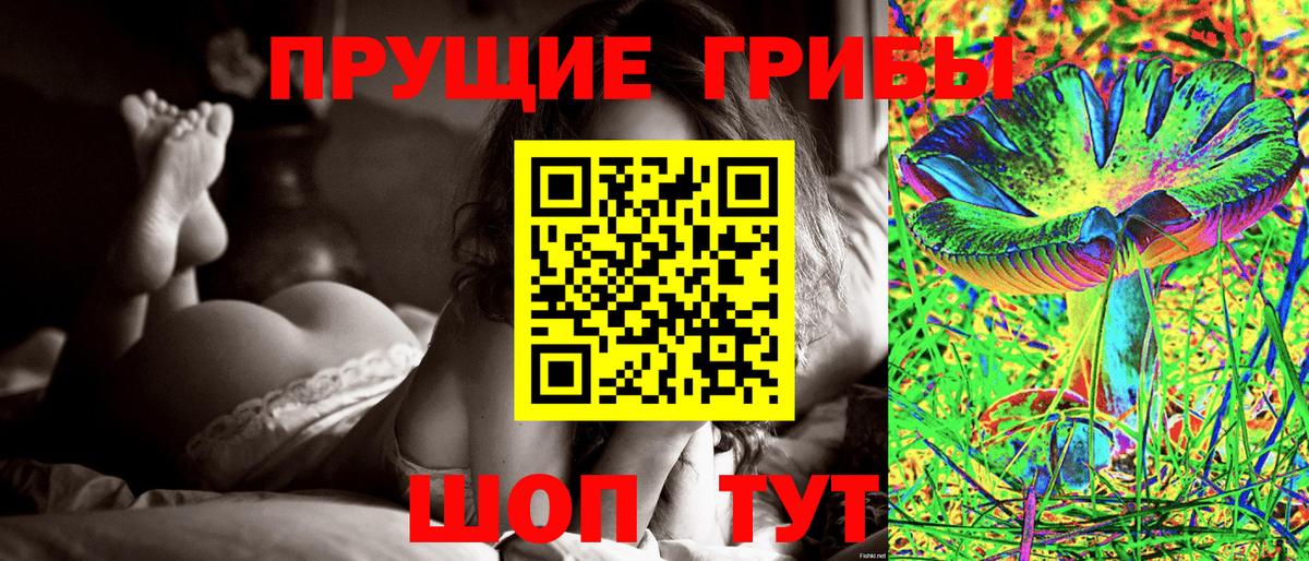 Галлюциногенные грибы Magic Shrooms Бердск